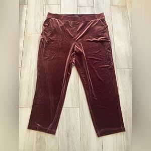 Loft burgundy velvet pants
